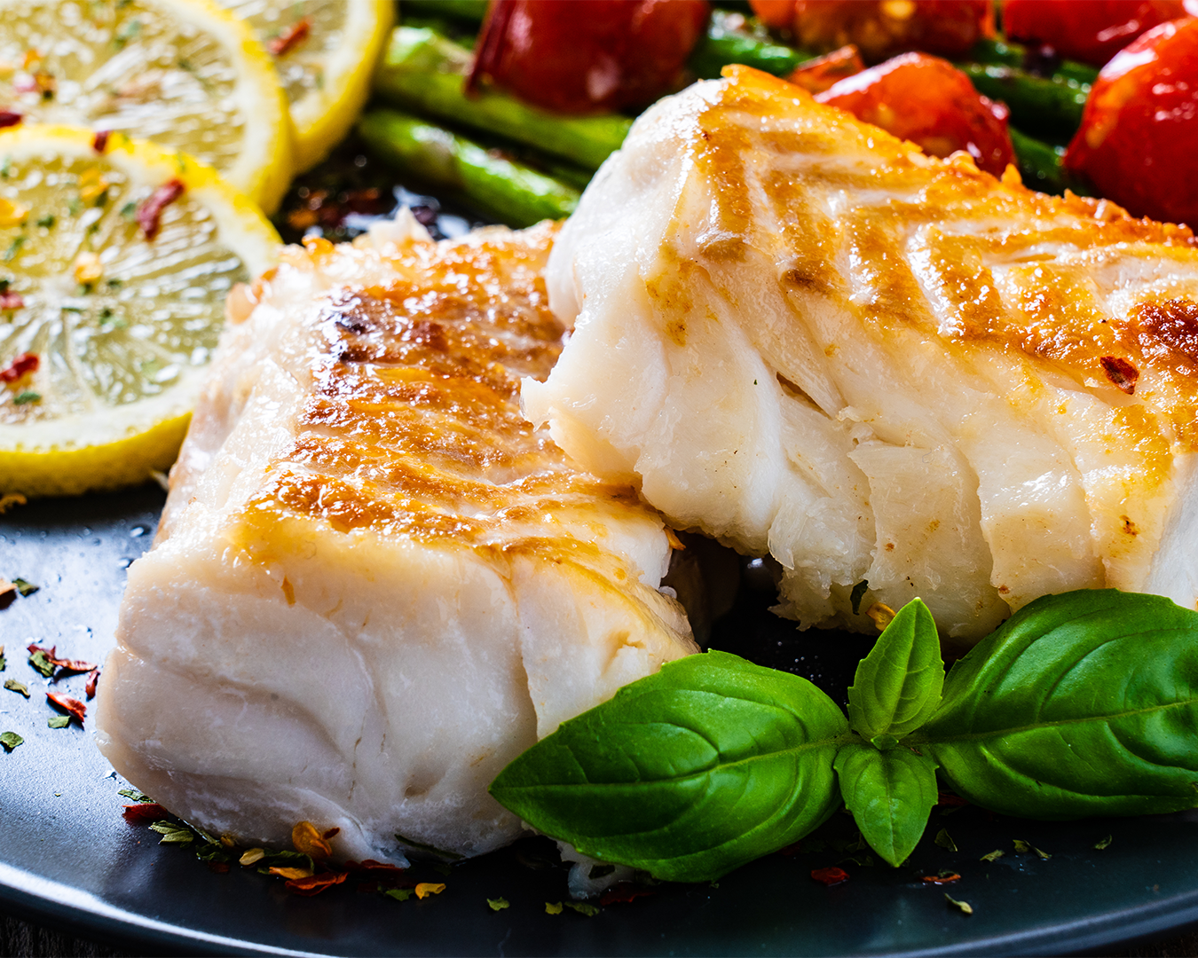 Halibut