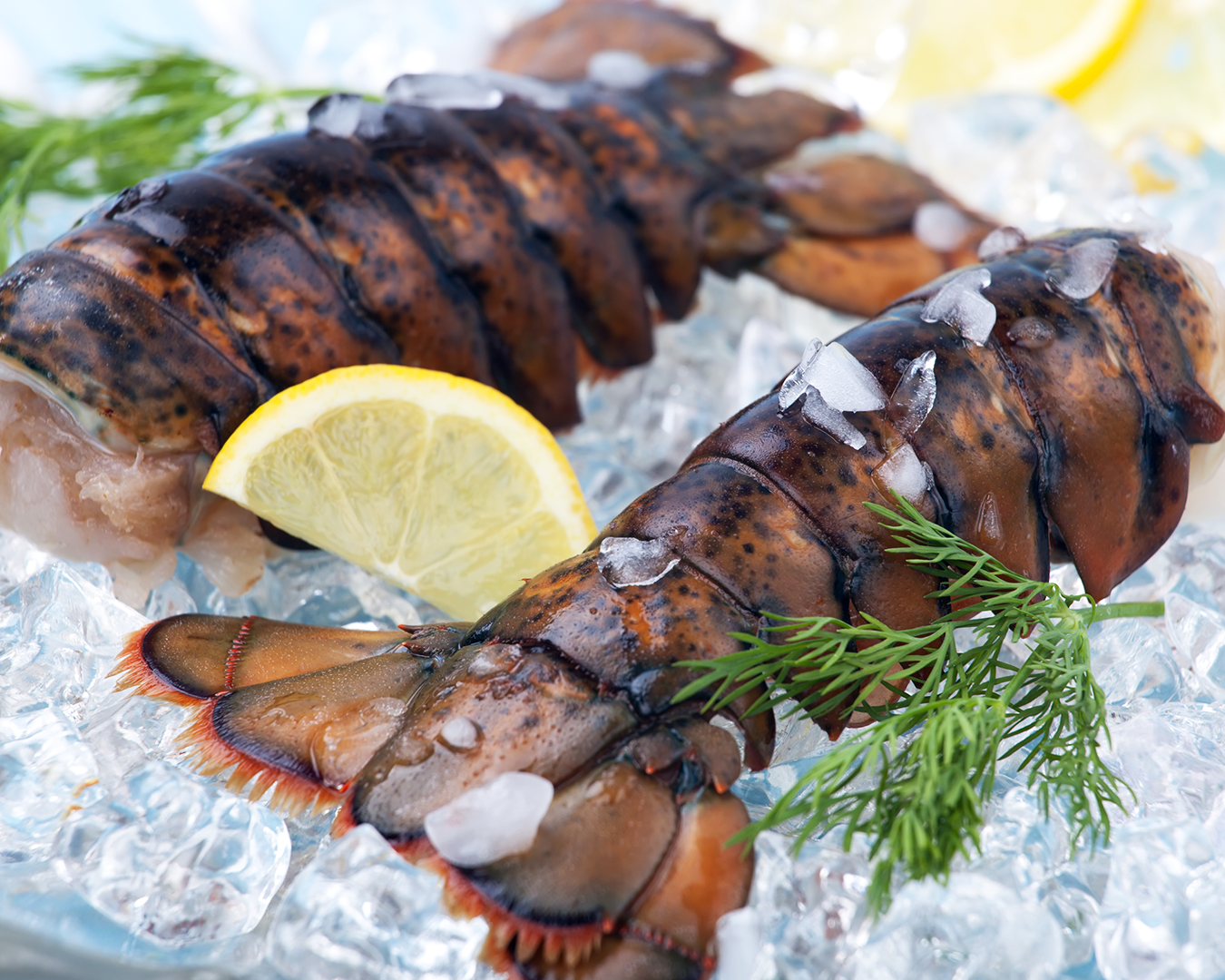 Lobster Tails Cold Water 2/4oz
